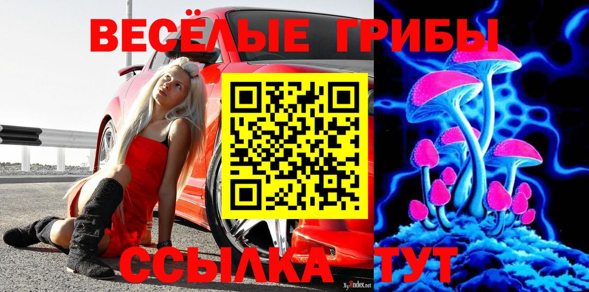Галлюциногенные грибы Cubensis  Вход с VPN  Галлюциногенные грибы мицелий  Краснокамск 