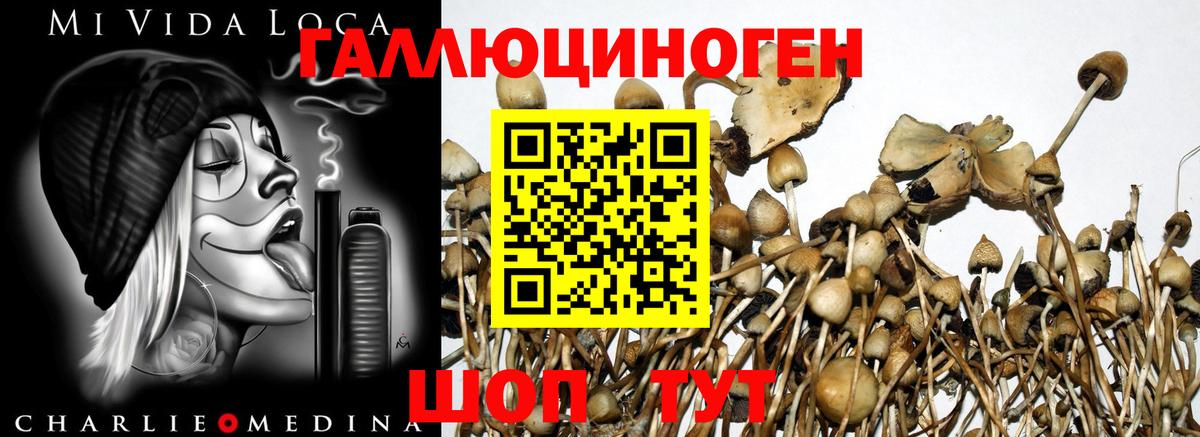 Галлюциногенные грибы ЛСД Краснокамск